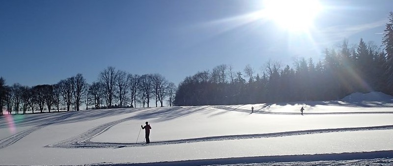 Běžecké lyžování jako zimní doplněk tréninku