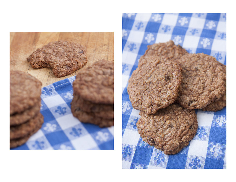 Oatmeal Coconut Chewy Dreamy Cookie