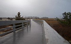 Rainy winter day at Hammonasset