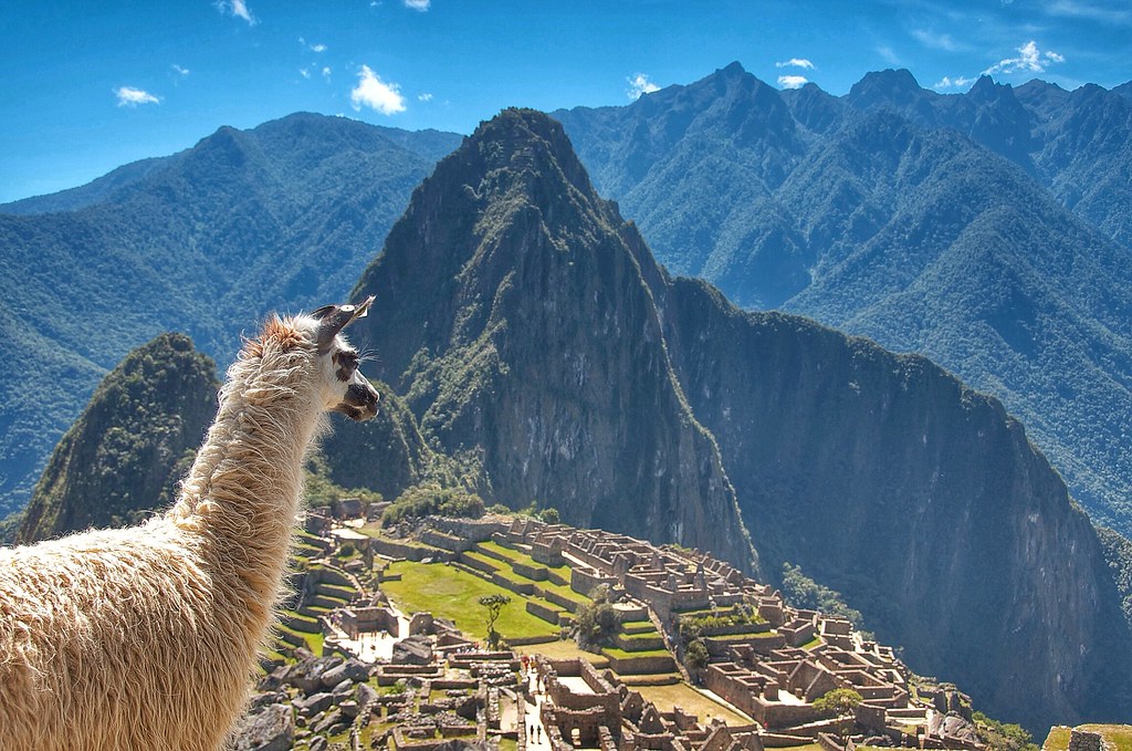 PERU. Desierto, Volcanes, Selva, Ciudades y Tesoros escondidos - Blogs de Peru - Cuzco - Valle Sagrado - Machu Pichu - Inty Raymi (7)