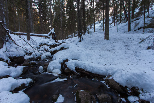 park winter snow cold tree forest espoo finland landscape rocks stream small national fallen flowing nuuksio 2015