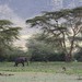 Tansania 2014 1830