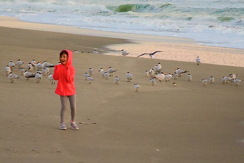 ocean beach birds sunrise dawn kid surf alone child florida solitary orangejacket indialantic