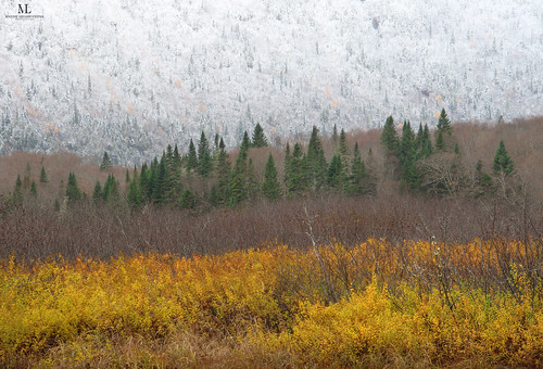 landscape paysage nature river moutain snow fall automne canon sepaq parcsquébec quebec canada
