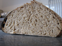 Millet crumb - scored straight