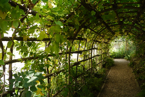The Vine Tunnel Arbour