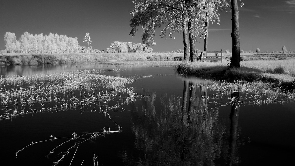 1 Bed lake side processed bw EPM1