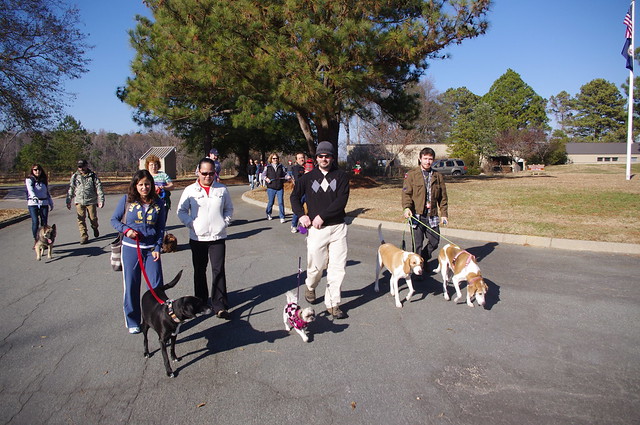 Jingle Bark in the Park in December is a great way to get our people out to the barks, this is York River State Bark, Virginia