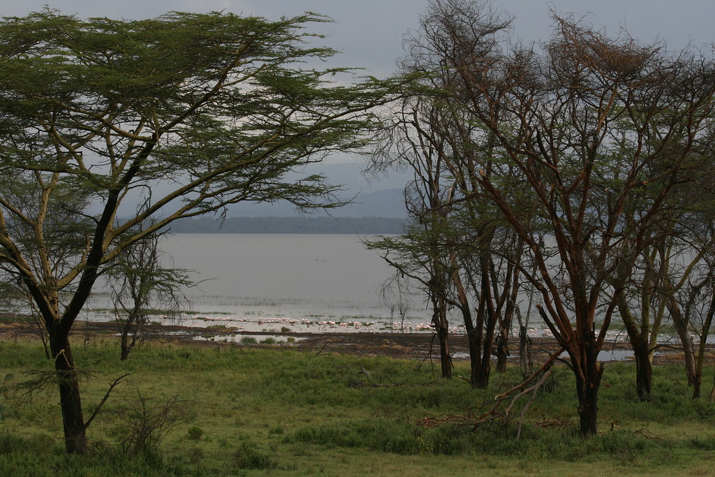LAGO NAKURU - MEMORIAS DE KENIA 14 días de Safari (17)