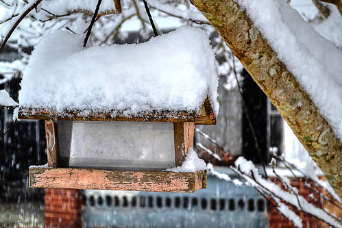 snow tree birdhouse
