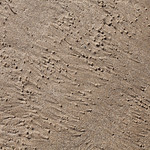 Sand 19