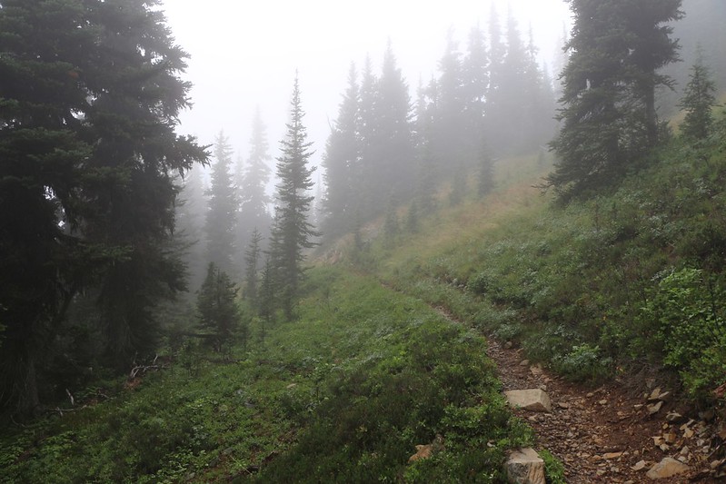 The foggy PCT midway between Foggy Pass and Jim Pass