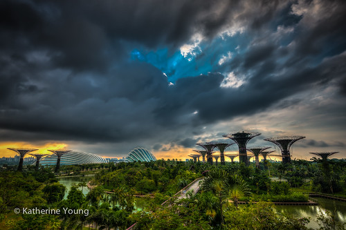 city travel blue storm green architecture clouds garden nikon singapore asia cityscape wideangle cloudforest stormclouds d800 1635mm flowerdome supertrees gardenbythebay