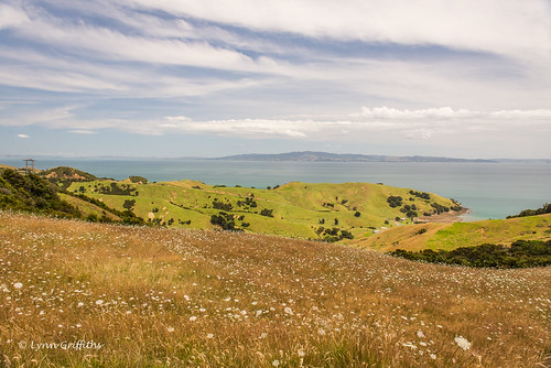newzealand water landscape coast waikato coromandel coutryside landscapephotography outdoorphotography