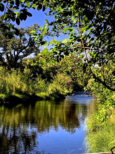 afternoon cosumnesriver reflections summer