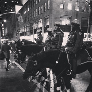 Nypd on horse