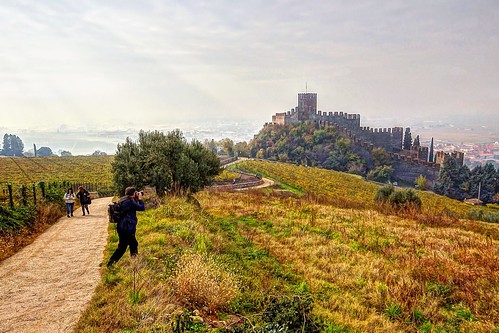 italy panorama canon italia sigma verona castello collina fotografo soave eos600d franco600d