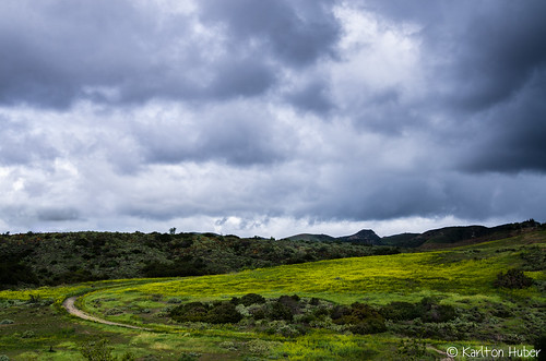 sky foothills nature weather yellow clouds contrast rural landscape moody hiking path gray wideangle hills trail wildflowers openspace southerncalifornia naturephotography grayday approachingstorm southcounty 2015 landscapephotography wildplaces nikkor1735mm nikond7000 karltonhuber ruraloc
