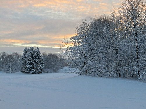 park trees winter snow clouds sunrise landscape