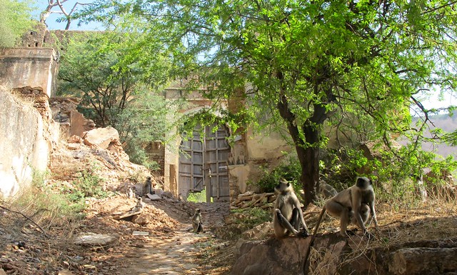 India - Bundi Fort
