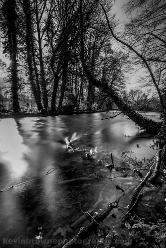 trees white black wet water monochrome river long exposure mood branches hampshire lane common kiln itchen brambridge otterbourne colden dampness lovehampshire