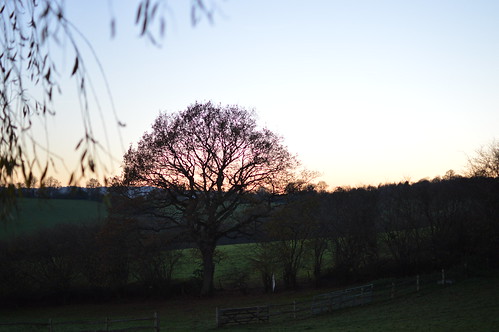 sunset 35mm prime sussex countryside nikon d3200