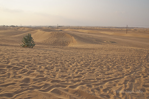 【写真】2014 世界一周 : ドバイ・砂漠（１日目）/2014-12-17/PICT6684