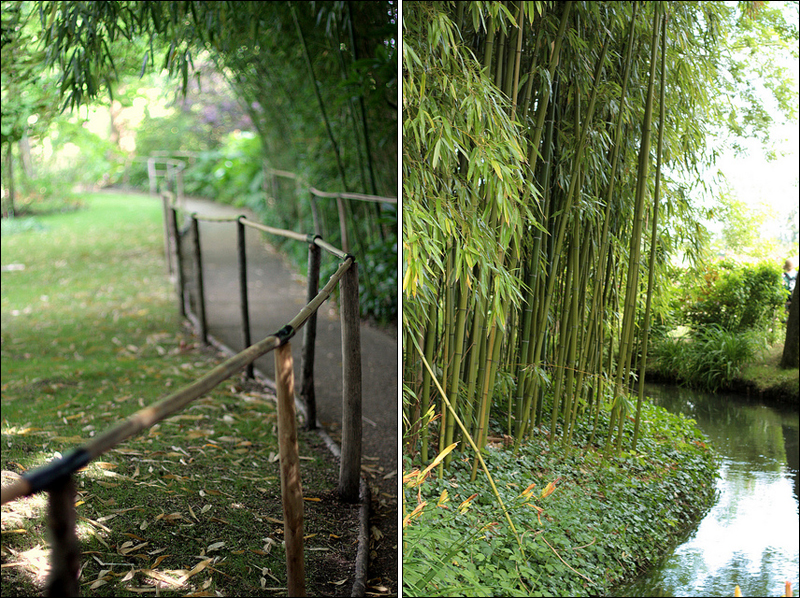 bamboo garden at Maison Claude Monet