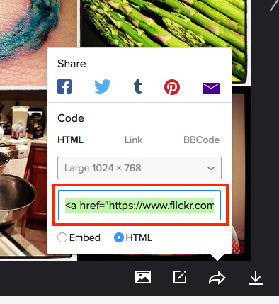Copy HTML Embed Code