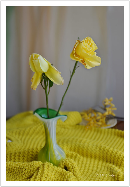 Yellow sweater, Vase and Roses