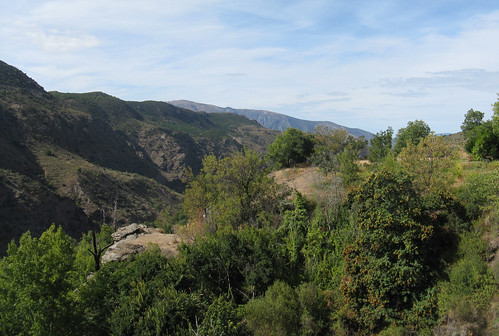 hills valley