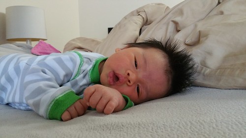 Parker at 5 Weeks Old | shirley shirley bo birley Blog