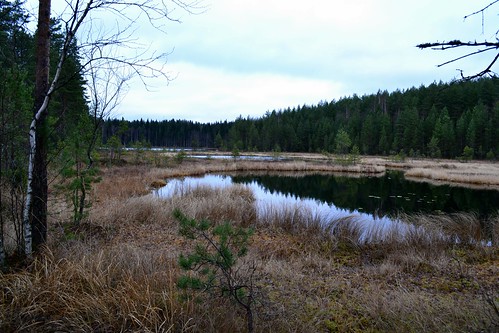 november autumn lake eh forest finland geotagged fin bog 2011 heinola päijäthäme ilvesreitti 201111 20111113 geo:lat=6116178800 geo:lon=2600415600