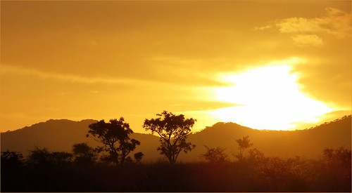africa sunset southafrica bush