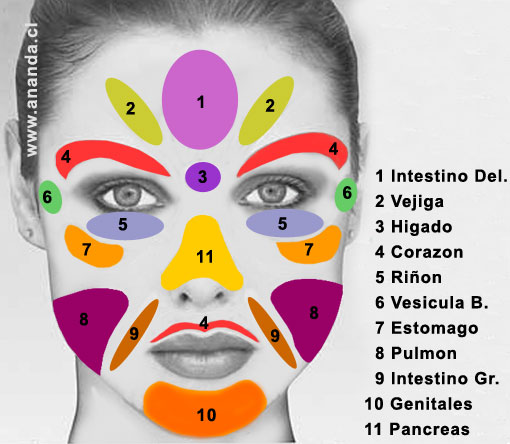 Reflexologia Facial
