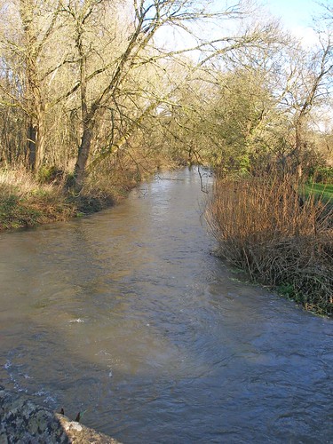 River Piddle at Briantspuddle