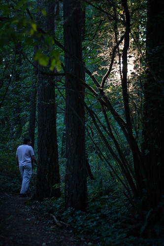 park trees oregon forest patrick forestgrove thatcher
