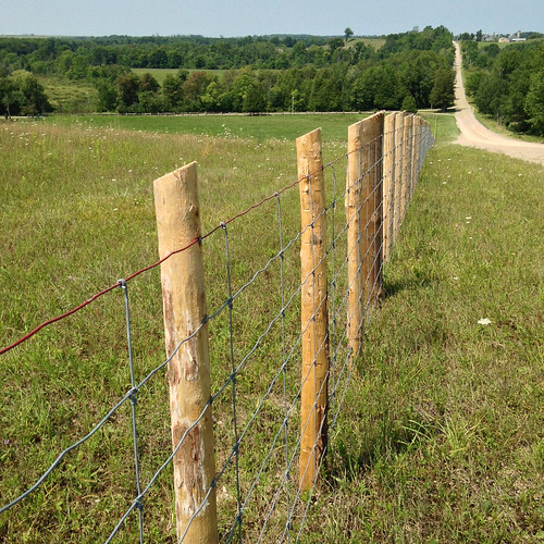summer fence view august posts hilly iphone hff newfence brucecounty pagewire sooc oldforest rollingterrain lucknowontario kinlosstract gpsn4357591506w8128291975