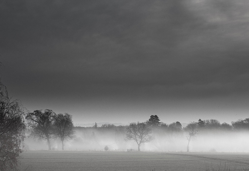 Mist in the morning