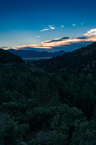 utah landscape tree sunset canyon twilight cloud sky ©edrosack zionnationalpark valley usa mountain cloudy dusk