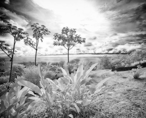 landscape ir costarica infrared lacusingalodge fotoverdetours artofbiodiversitypacific