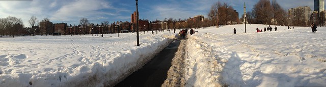 It was a beautiful afternoon to be out on Boston Common with your dog.