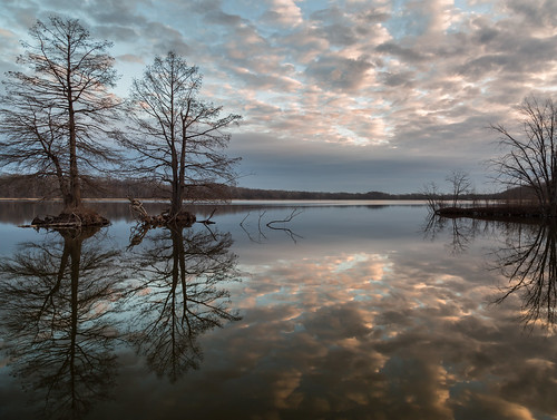 morning trees winter sky lake nature water clouds reflections landscape dawn pond february canon24105mmf4l buschwildlife canon5dmkiii