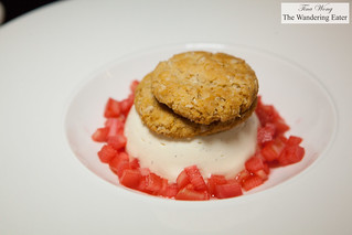 Jersey cream vanilla panna cotta, Yorkshire forced rhubarb with ginger biscuits