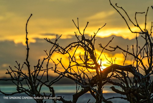 sunset silhouette bay nikon magic mangrove hour hervey v1