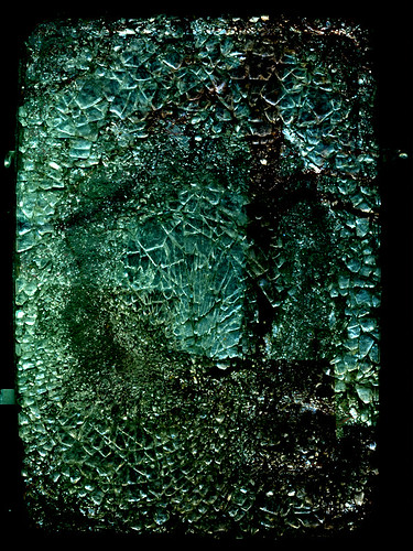 tree reflected overlaid with broken glass in a car mirror
