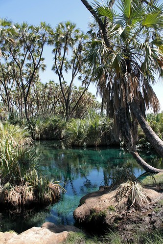 africa turquoise oasis ethiopia hotsprings afar reflexes awash ኢትዮጵያ filwoha አፋርክልል weayot አፍሪቃ የአዋሽበሔራዊፓርክ doumpalms አዋሽወንዝክልል