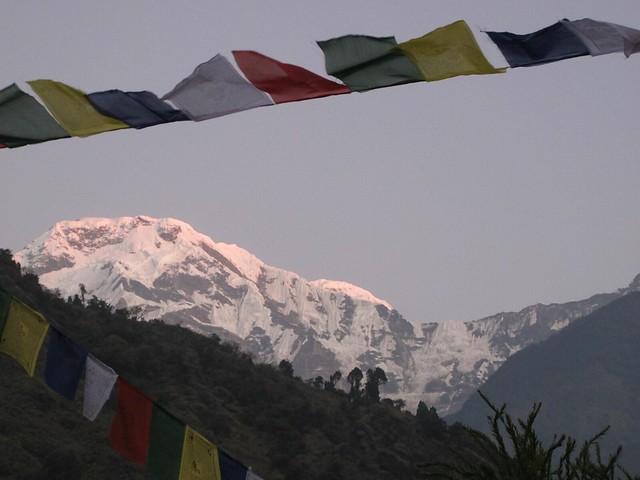 Annapurna Trek: Day 12 Jhinu Danda to Pokhara