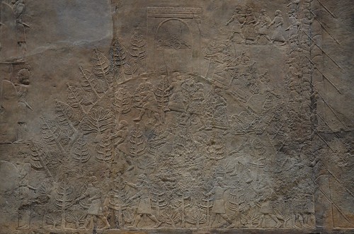 Sculpted reliefs depicting Ashurbanipal, the last great Assyrian king, hunting lions, gypsum hall relief from the North Palace of Nineveh (Irak), c. 645-635 BC, British Museum