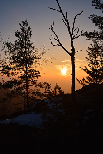 winter sunrise sonnenaufgang winterlandschaft elbsandsteingebirge gohrisch sandsteiner